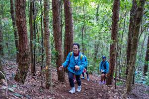 BIB: 
                            <button type="button" onclick="openModal(19042210)" class="btn btn-primary btn-sm float-right btn-popup" data-toggle="modal" data-target=".modal-high-quality">
                        <i class="fas fa-shopping-cart"></i> Add to Cart
                    </button>
                                            <button type="button" onclick="isThisMe(19042210, true)" class="btn btn-success btn-sm float-right btn-popup btn-isme hidden" data-toggle="tooltip" data-placement="bottom" title="นี่คือรูปของคุณใช่ไหม คลิกที่นี่เพื่อเอาเข้าอัลบั้ม">
                        <i class="fas fa-plus"></i> Add to album
                    </button>
                    <button type="button" onclick="isThisMe(19042210, false)" class="btn btn-warning btn-sm float-right btn-popup btn-isnotme hidden">
                        <i class="fas fa-ban"></i> Remove from album
                    </button>